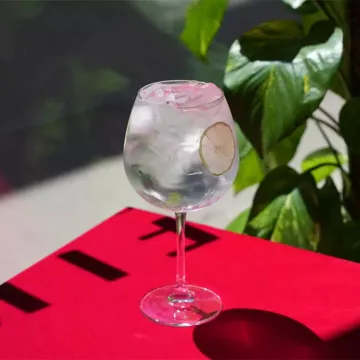 Gin Tonic